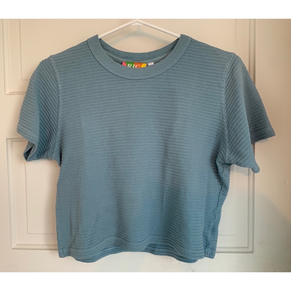 Big Bud Press Cropped Honeycomb Tee, Size XXS - Picture 3 of 11